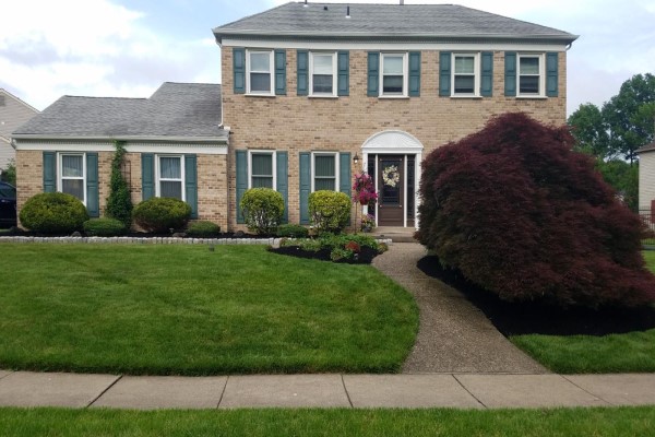 Landscaping-Work-image